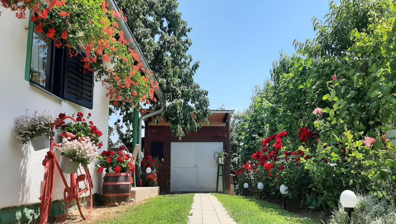Sirova Katalena Apartment Amigo מראה חיצוני תמונה